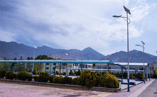 新農村太陽能路燈