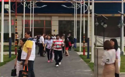 廣交會海外采購團蒞臨國際路燈城，太陽能路燈led燈備受關注