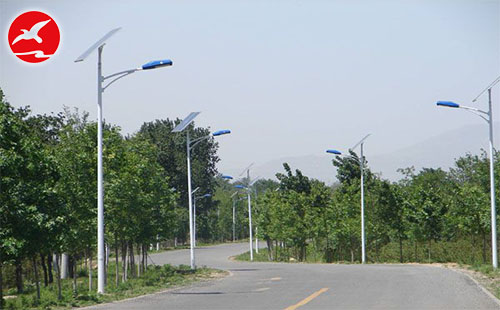 新農村太陽能路燈案例
