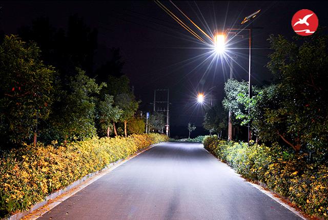 新農村太陽能led路燈