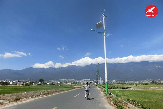 太陽能風光互補路燈