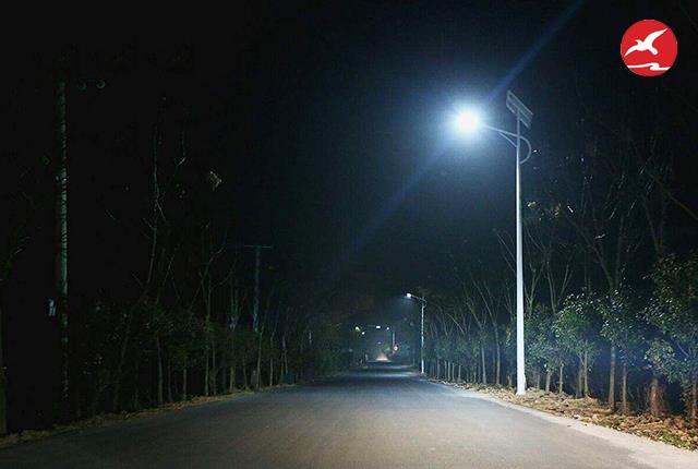 正翔照明農村太陽能路燈