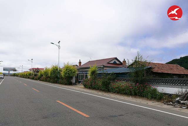 新農(nóng)村太陽能路燈廠家
