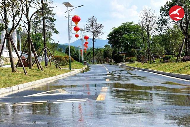 新農村太陽能路燈廠家