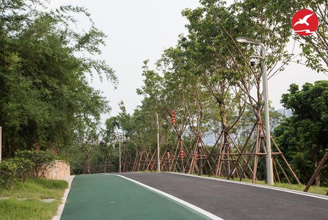 公園智慧路燈