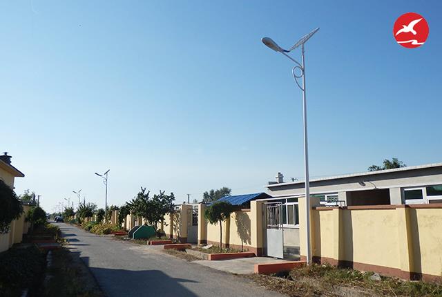 農(nóng)村太陽能路燈