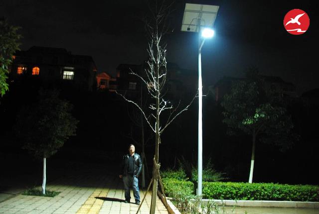 農村LED太陽能路燈