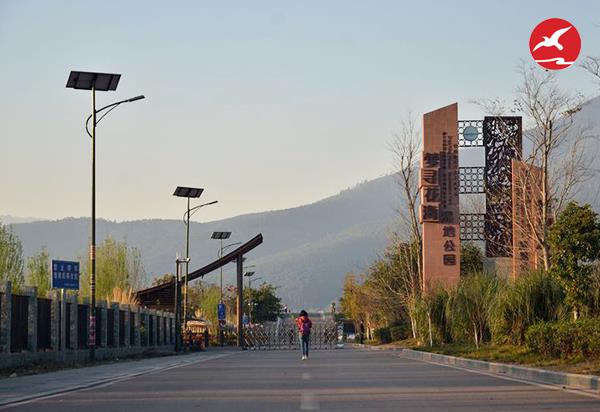 太陽能路燈價格