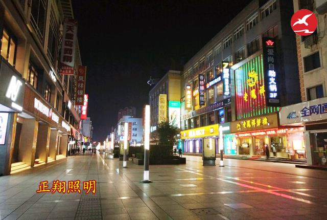 城市街道LED景觀燈
