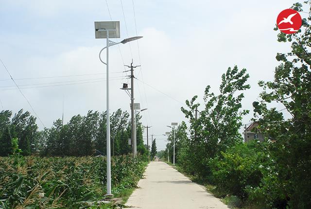 新農村太陽能路燈