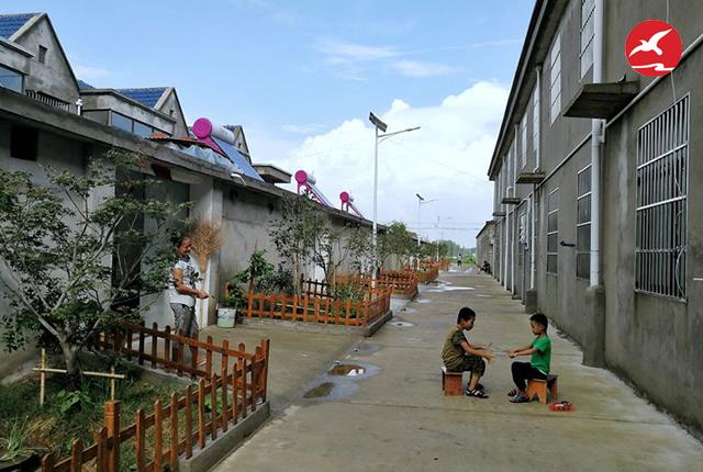 新農村太陽能路燈