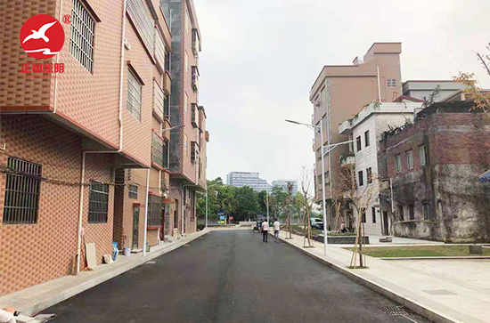  東莞新州新訪LED路燈工程