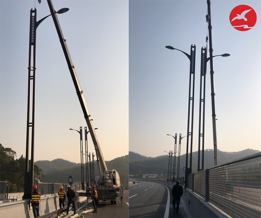 廣東省江門市開平區(qū)LED路燈工程