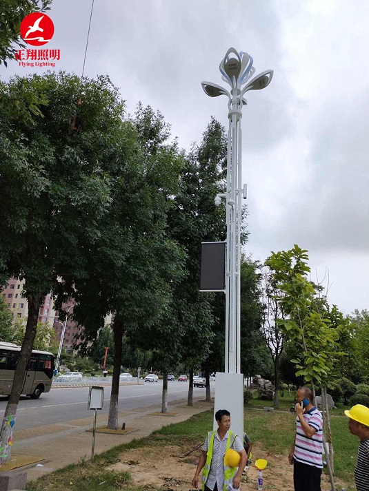 山東智慧玉蘭燈工程