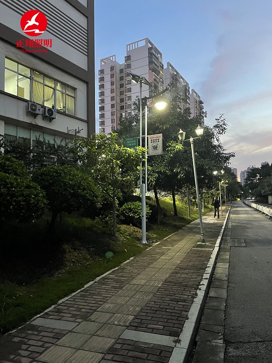 廣西南寧市鐵馨苑太陽能路燈