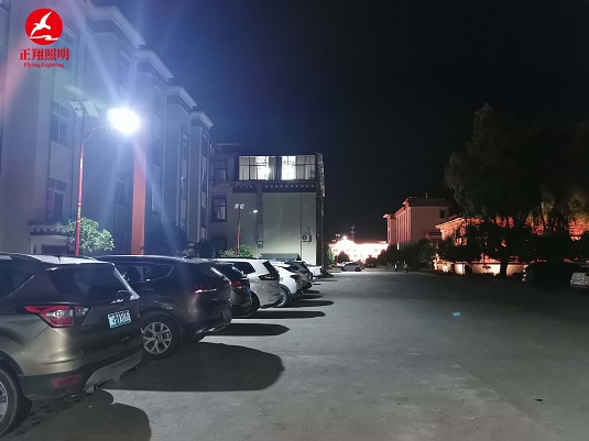 西藏林芝市民族風(fēng)太陽能路燈工程案例