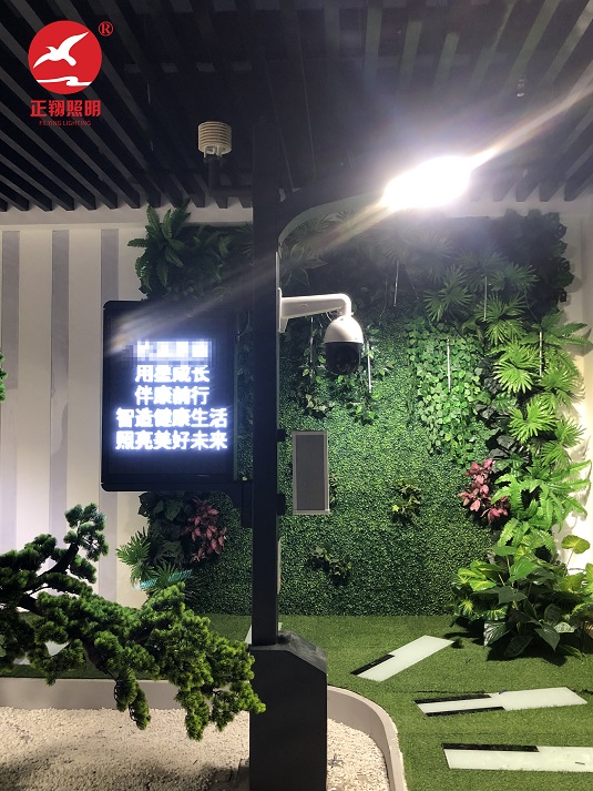 智慧路燈安裝實拍圖