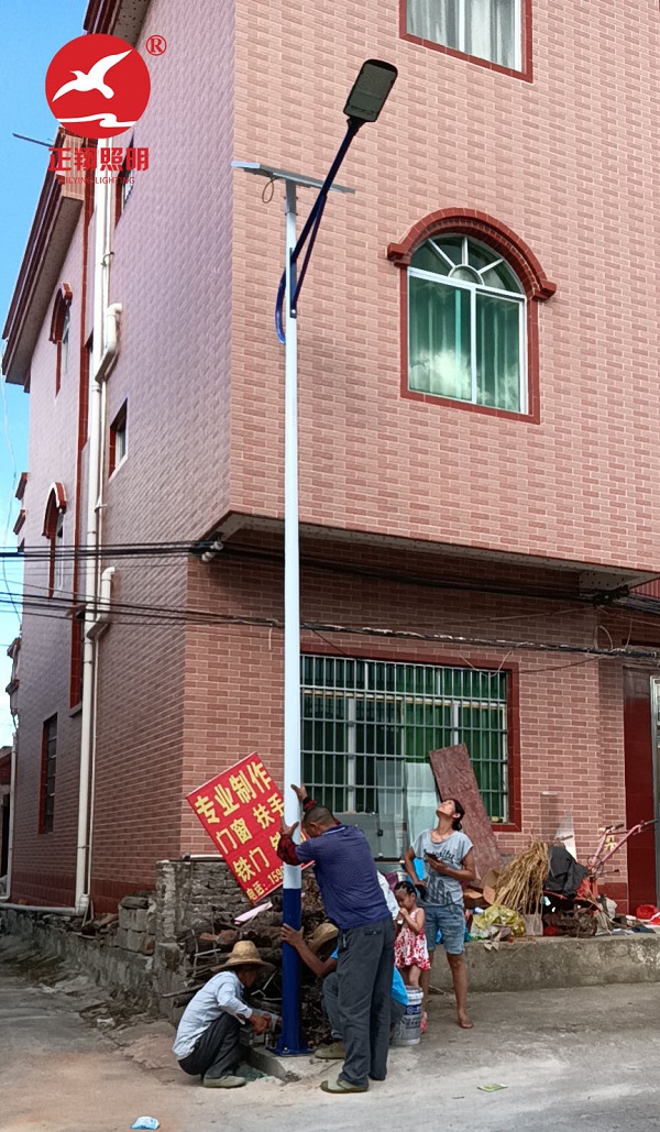 廣西平樂縣陽安鄉陶村新農村太陽能路安裝