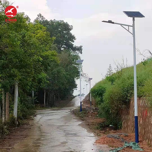 廣東省陽江市太陽能路燈安裝
