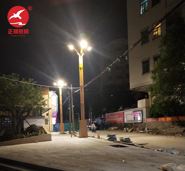 東莞市厚街鎮(zhèn)汀山社區(qū)村委會汀山路玉蘭燈安裝