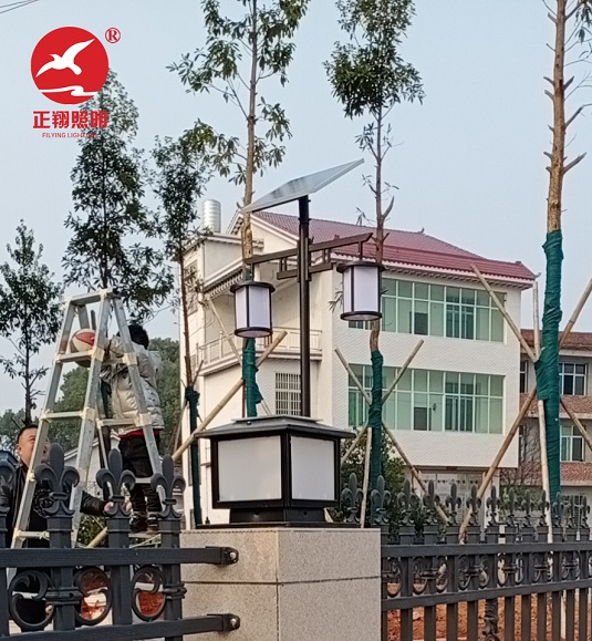 湖南株洲新農(nóng)村中式太陽(yáng)能庭院燈工程案例