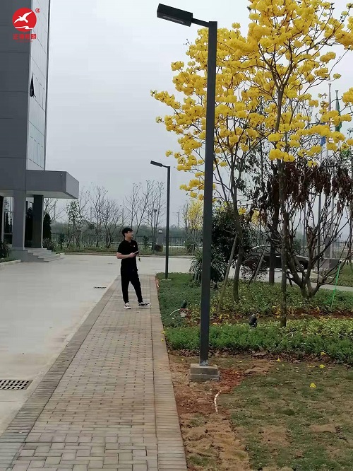  廣西單臂市電路燈