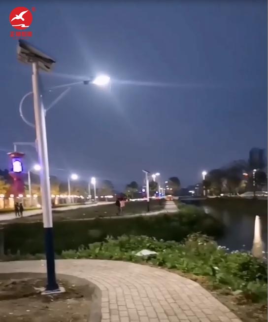 廣東汕頭太陽能滅蚊路燈安裝