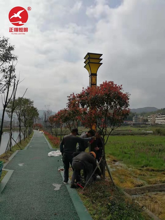 福建寧德大型景觀燈安裝