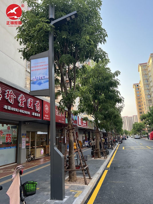 福建廈門智慧路燈安裝