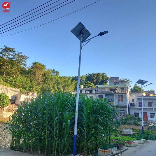 廣西柳州鄉村太陽能路燈安裝