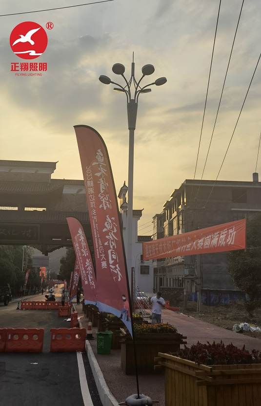 長沙中桿中華燈道路安裝