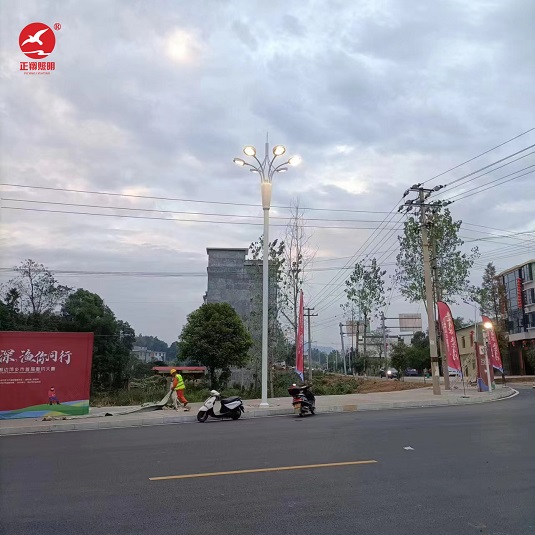 長沙中桿中華燈道路安裝