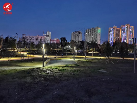 新疆哈密市伊州區公園景觀燈安裝