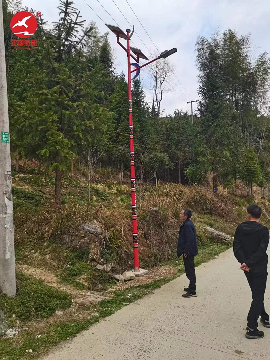 邵陽民族風(fēng)太陽能路燈安裝