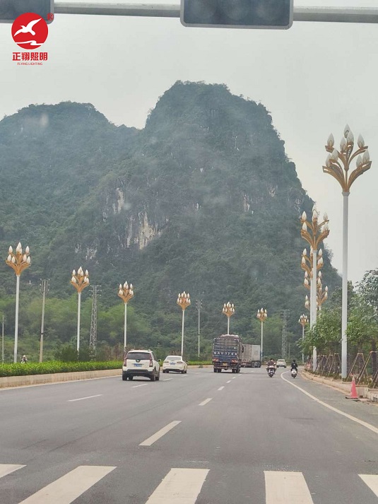  廣西市政道路玉蘭燈