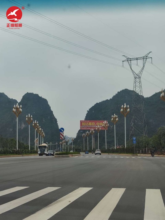  廣西市政道路玉蘭燈