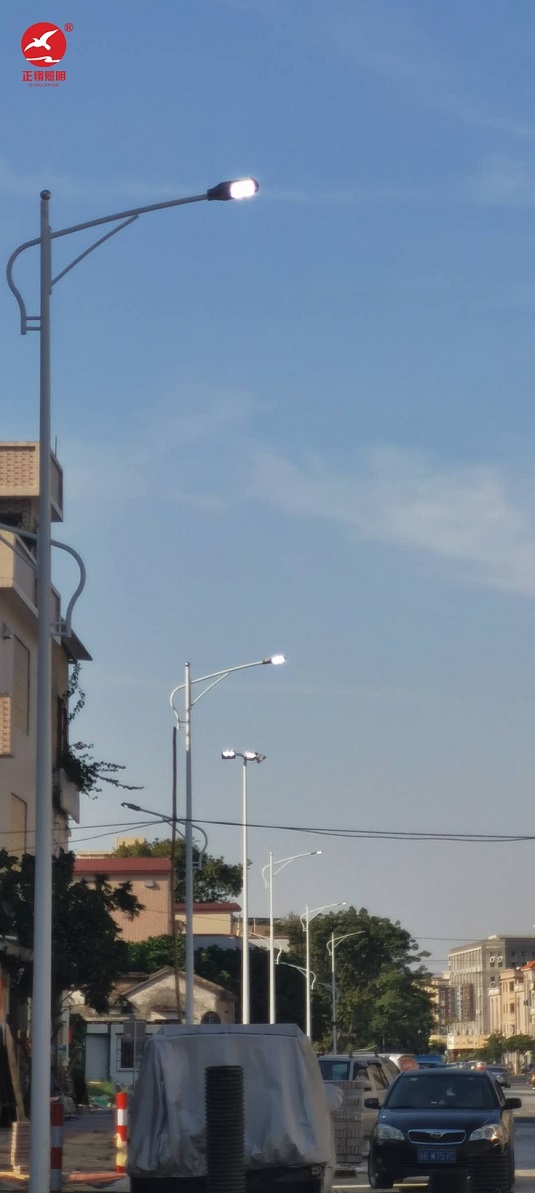 廣東佛山高低臂市電路燈