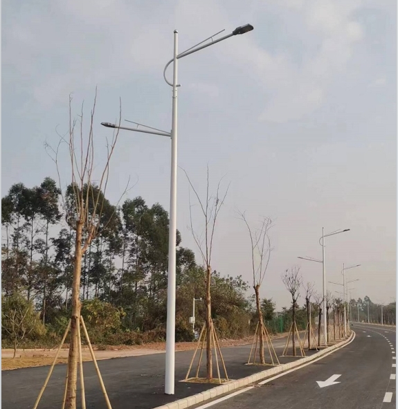 廣東-惠州-惠城區(qū)江濱路市電路燈