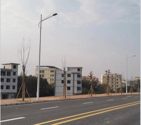 廣東-惠州-惠城區(qū)江濱路市電路燈