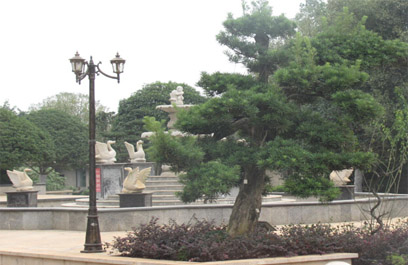 應用圖