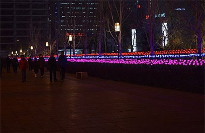 LED蘆葦燈 正翔9204應用圖1