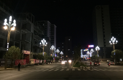 玉蘭燈-正翔2609 (5)