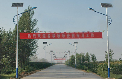 LED太陽能路燈 正翔2009應用圖3