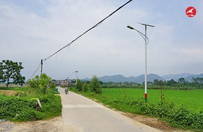 新農村太陽能路燈 正翔2110應用圖4
