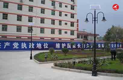 中式庭院燈 正翔3308應用圖3