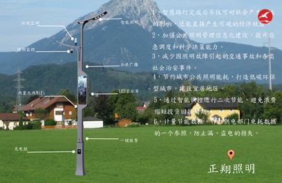 LED智慧路燈ZX5403應用圖1