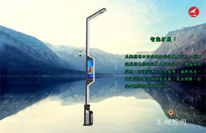 LED智慧路燈ZX5403應用圖2