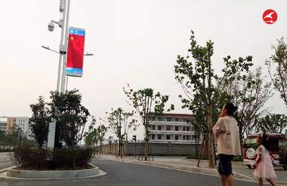 LED智慧路燈ZX5403應用圖4