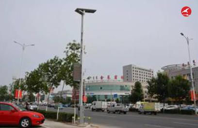 LED智慧路燈ZX5405應用圖3