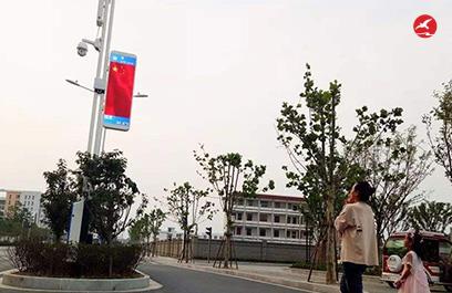 LED智慧路燈ZX5407應(yīng)用圖2
